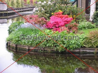 Boskoop canalside garden
