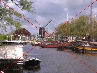 Leiden canal and windmill