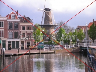 De Valk Windmill Leiden