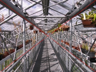 Leiden Botanical Garden