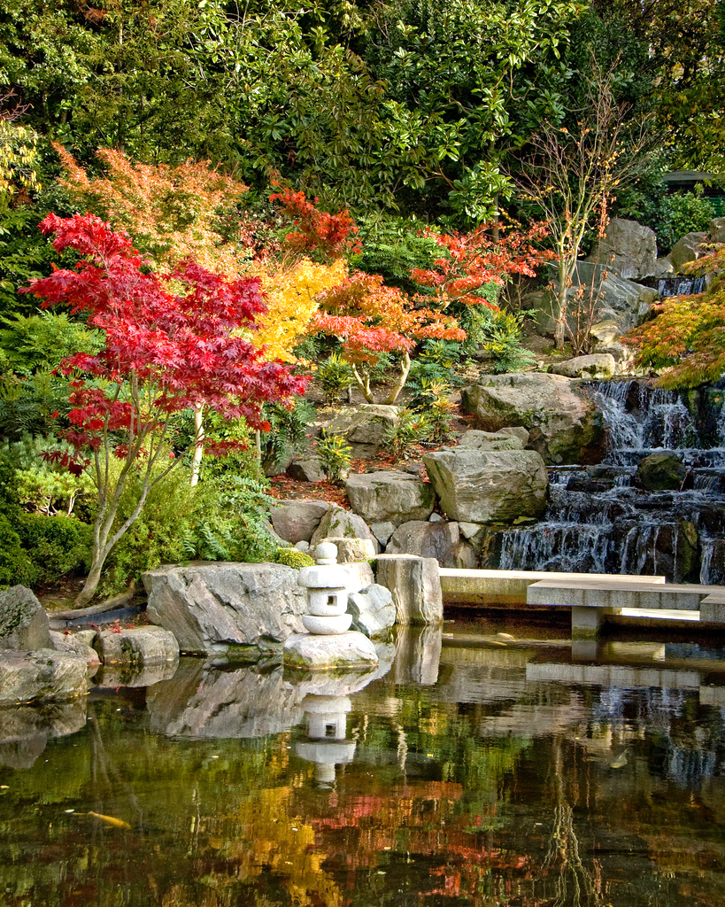 Holland Park Lauchlin Wilkinson
