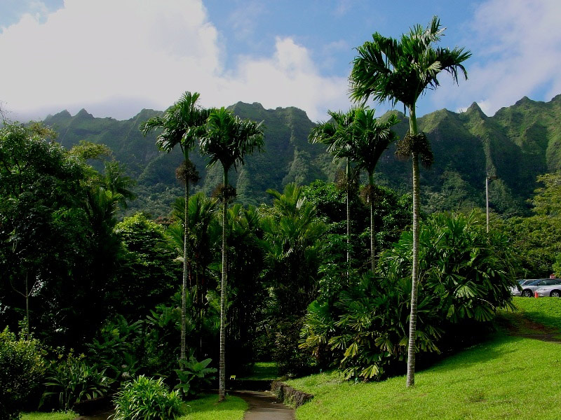 Hoomaluhia Botanical Garden, Oahu