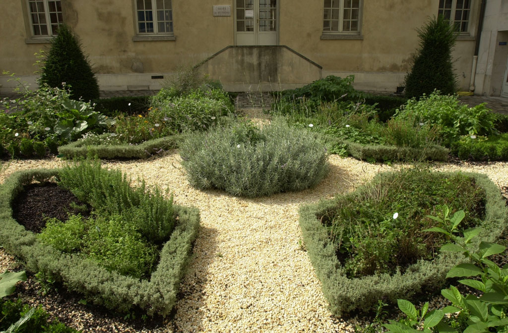Medicinal Plants Garden, Hôpitaux de Paris