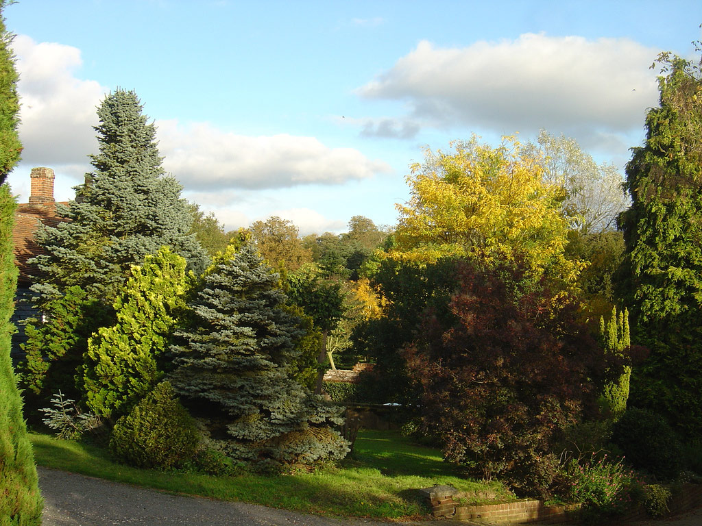 Hopleys Plants Garden, Hertfordshire