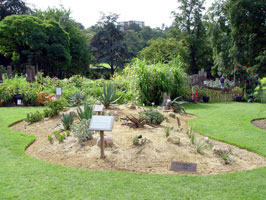Horniman african garden