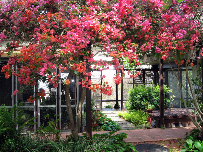 Hortense Miller Garden, Laguna Beach