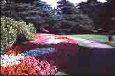 Classic horticulture