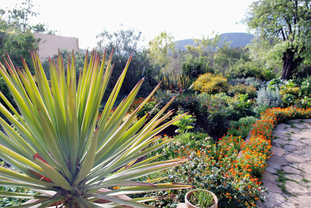 Hôtel des Cascades Garden
