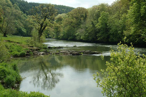 Hotel Endsleigh Gardens, Milton Abbot