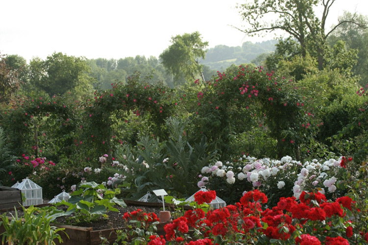 Walled Garden, Houghton Lodge