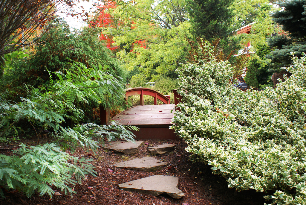 Howard Gardens Linedugal