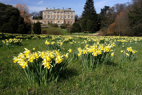 Howick Hall Gardens in Spring