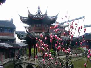 Hu xue yan garden2