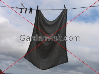 Hung Out to Dry