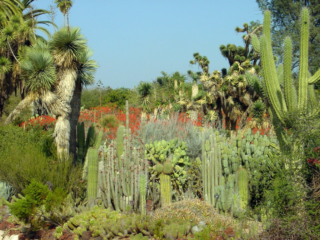 Huntington Botanical Gardens, California