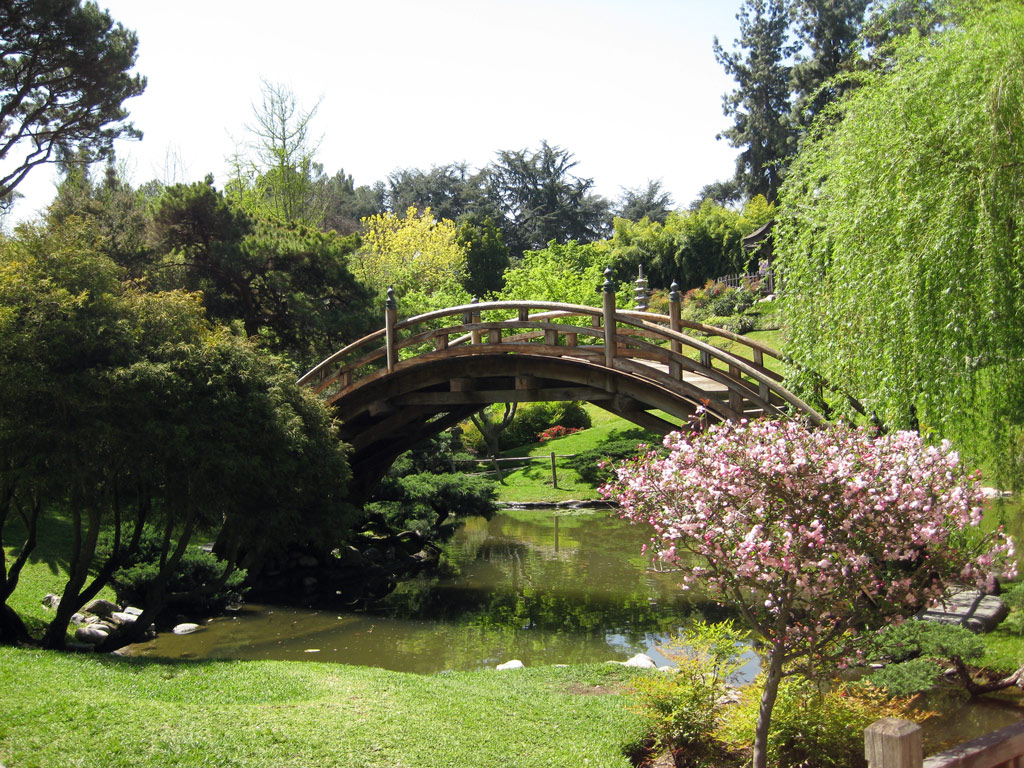 Bridge, Japanese Garden