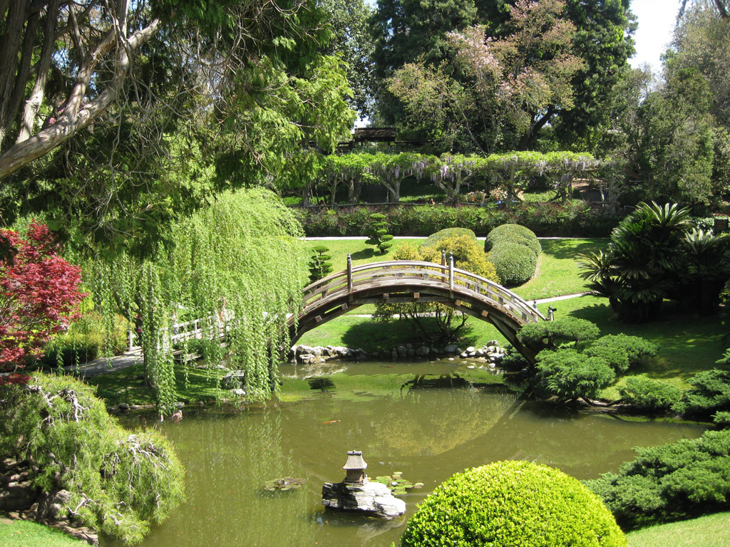 Pond, Japanese Garden