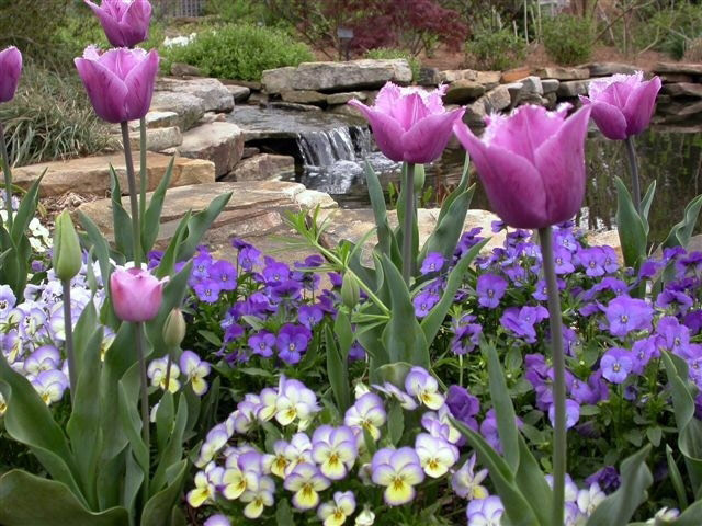 Huntsville botanical garden
