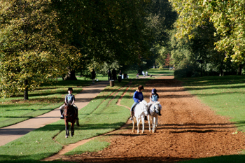 Hyde Park