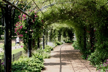 Hyde Park