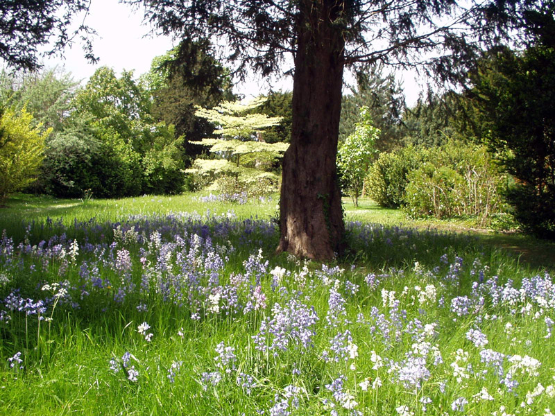 Silver Garden, Ickworth House and Park