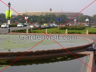 Parliament