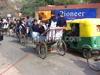 School Children