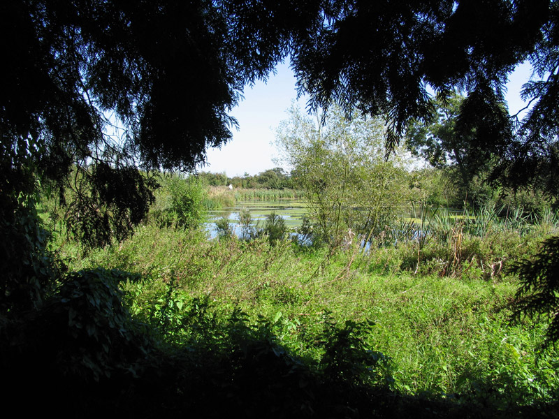 Ingatestone Hall Garden, Essex