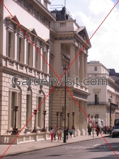 Institute of Directors