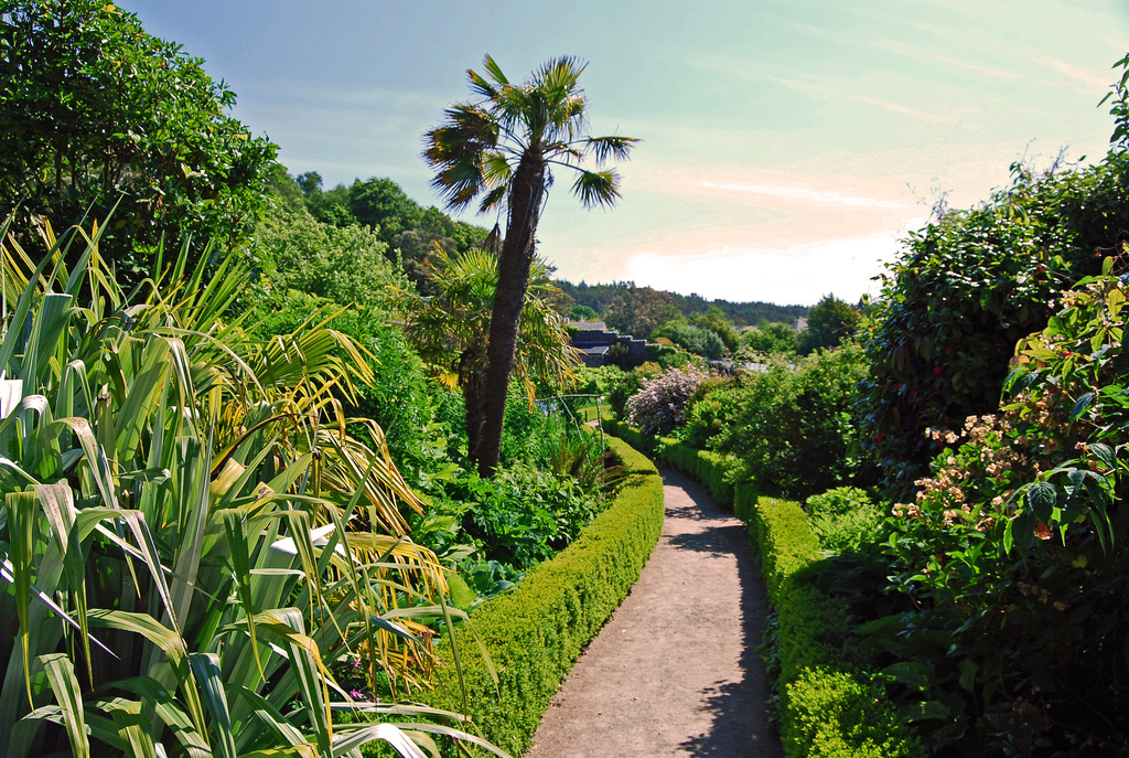 Inverewe Garden Tom Honeyman