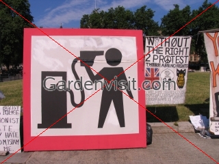 Iraq War Protest