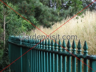 Iron Railings