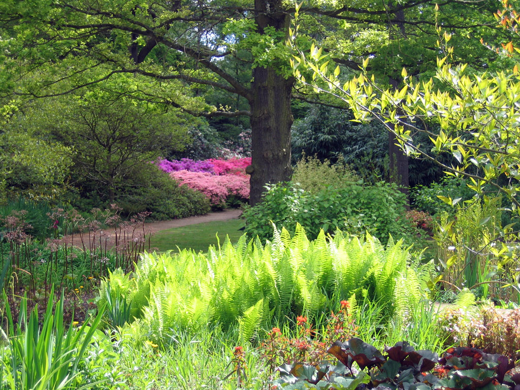 Isabella Plantation Garden, 2009
