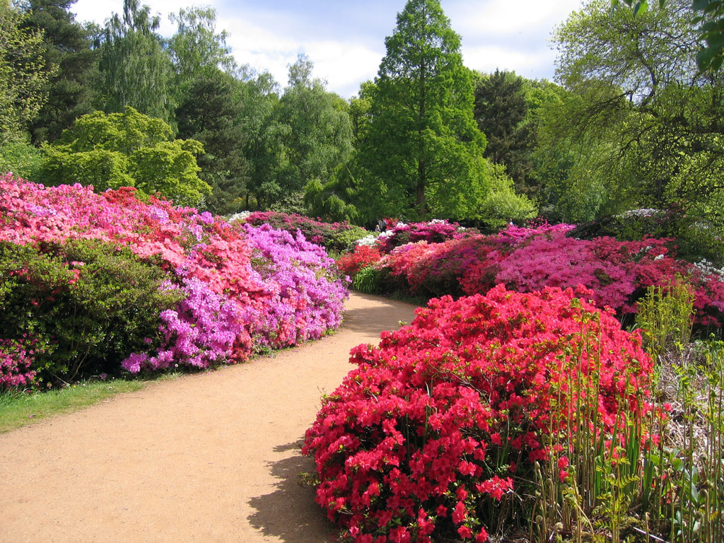 Isabella Plantation Garden, May