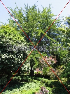 Istanbul Botanic Garden Turkey