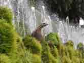 Italy Garden Fountain