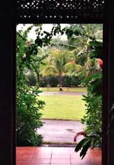 Jamaican Garden