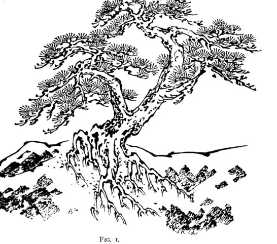 Japan fig1