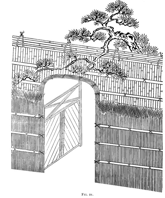 Japan fig21