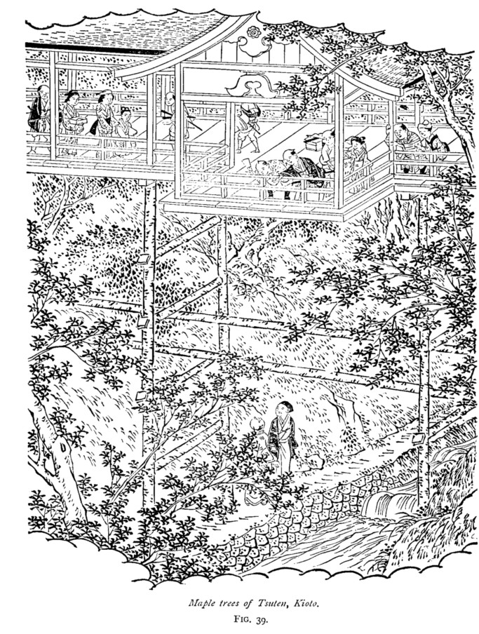 Japan fig39