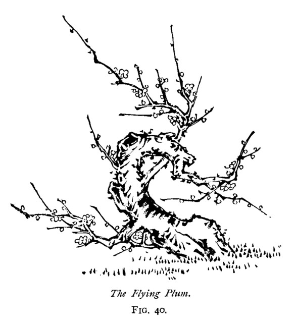 Japan fig40