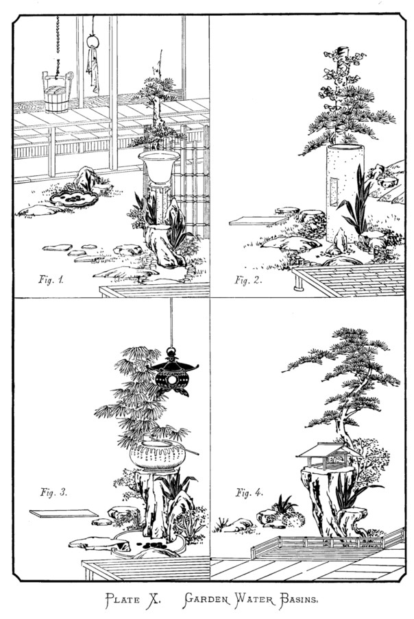 Japan plate x garden water basins