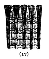 Japanese fence 17
