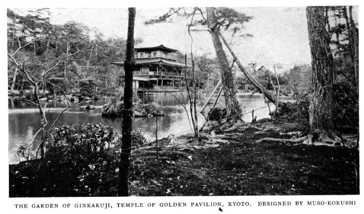 Japanese fig 10