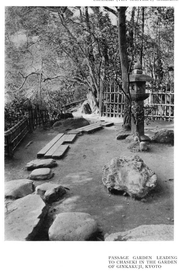 Japanese fig 100