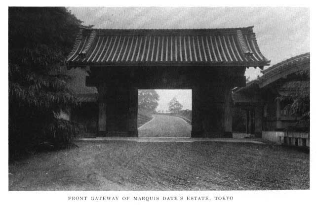 Japanese fig 101