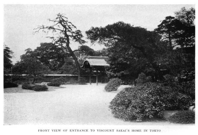 Japanese fig 102