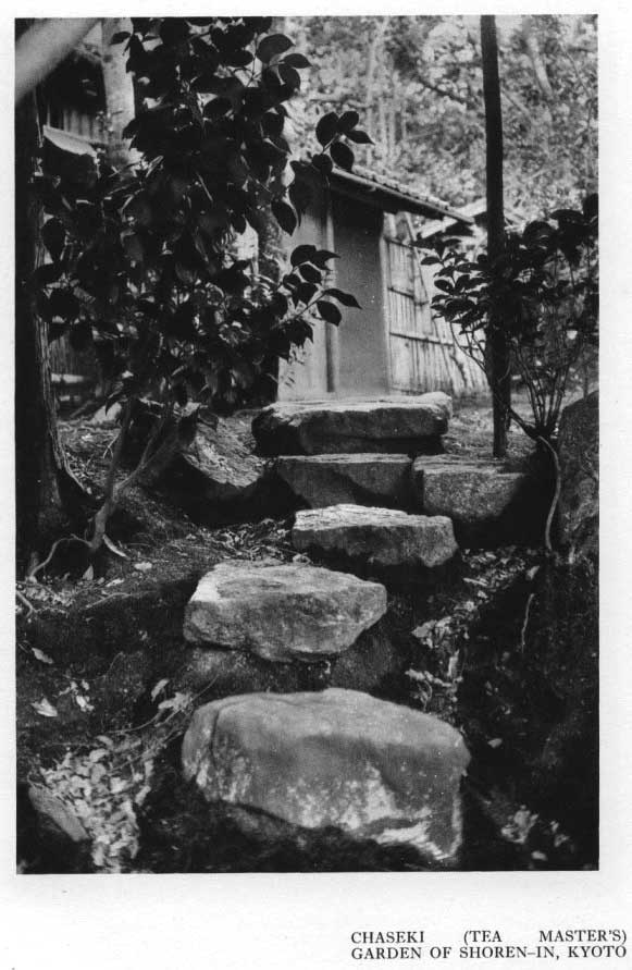 Japanese fig 103