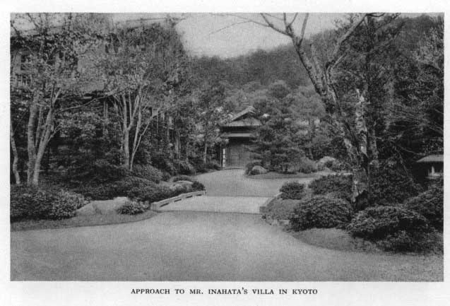 Japanese fig 104