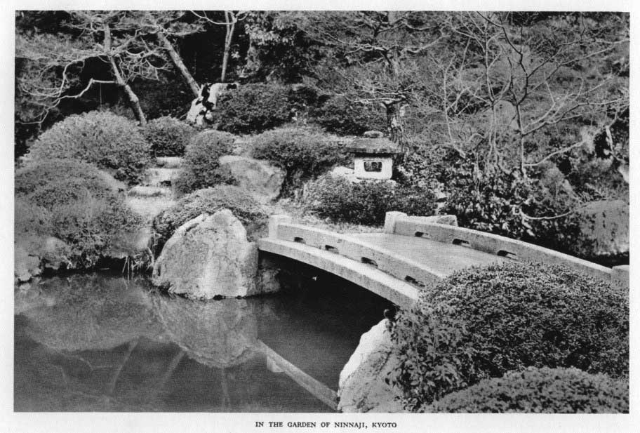 Japanese fig 119